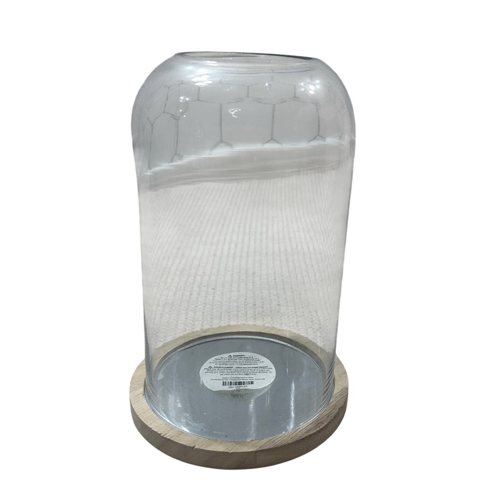 Pier 1 Clear Glass Cloche Dome with Natural Wood Base 8.25in Display Case